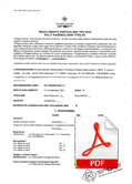 scarica il documento in formato pdf